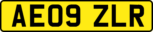 AE09ZLR