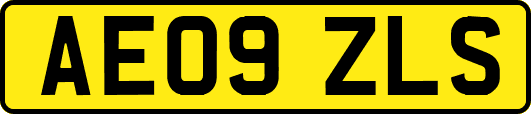 AE09ZLS