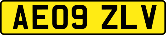 AE09ZLV