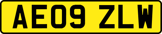 AE09ZLW