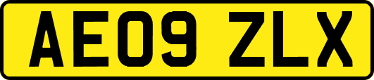 AE09ZLX