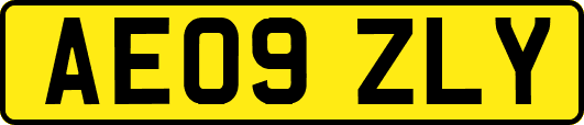 AE09ZLY