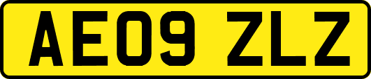 AE09ZLZ