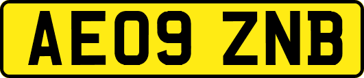 AE09ZNB