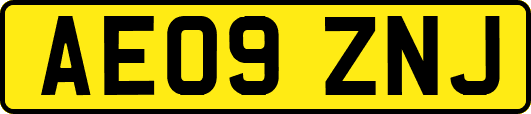 AE09ZNJ