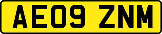 AE09ZNM