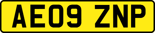 AE09ZNP