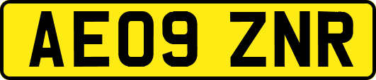 AE09ZNR