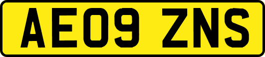 AE09ZNS