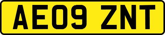 AE09ZNT