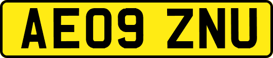 AE09ZNU