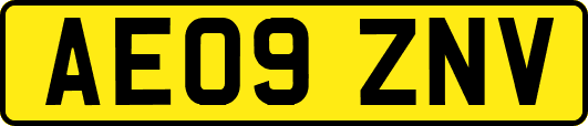 AE09ZNV