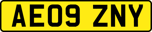 AE09ZNY