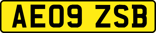 AE09ZSB