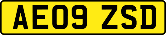 AE09ZSD