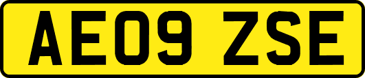 AE09ZSE