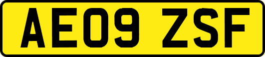AE09ZSF
