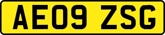 AE09ZSG