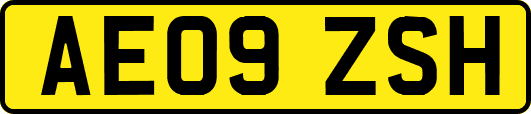 AE09ZSH