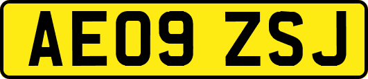 AE09ZSJ