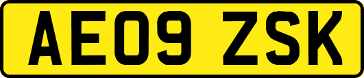 AE09ZSK