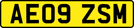 AE09ZSM