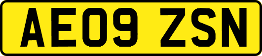 AE09ZSN