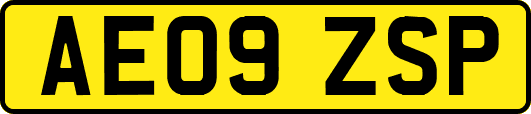 AE09ZSP