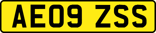 AE09ZSS