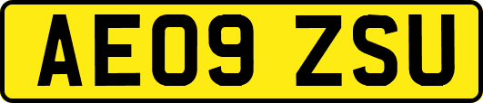 AE09ZSU