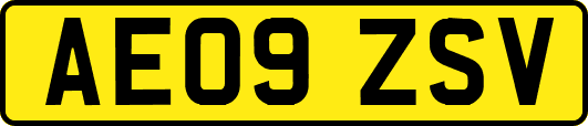 AE09ZSV