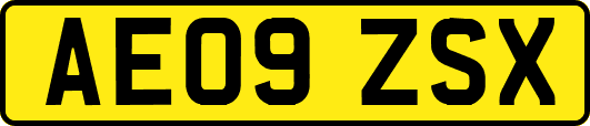 AE09ZSX
