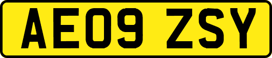 AE09ZSY