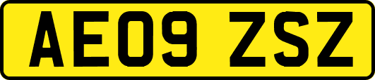 AE09ZSZ