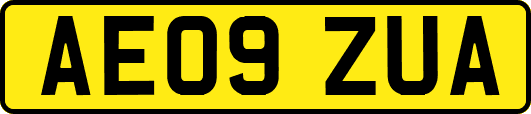 AE09ZUA