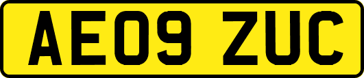 AE09ZUC