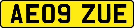 AE09ZUE