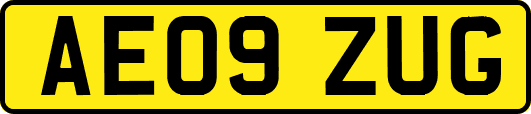 AE09ZUG