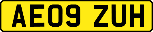 AE09ZUH