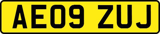 AE09ZUJ
