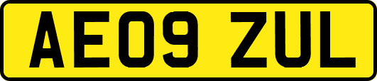AE09ZUL