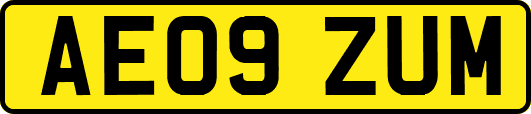 AE09ZUM