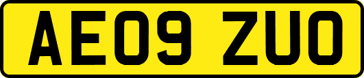 AE09ZUO