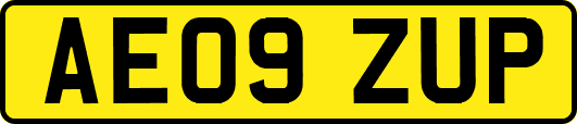 AE09ZUP