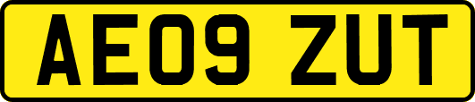 AE09ZUT