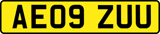 AE09ZUU