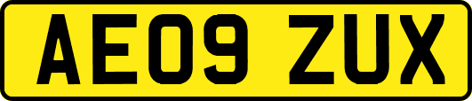 AE09ZUX