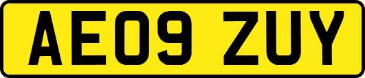 AE09ZUY