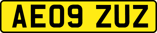 AE09ZUZ