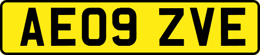 AE09ZVE